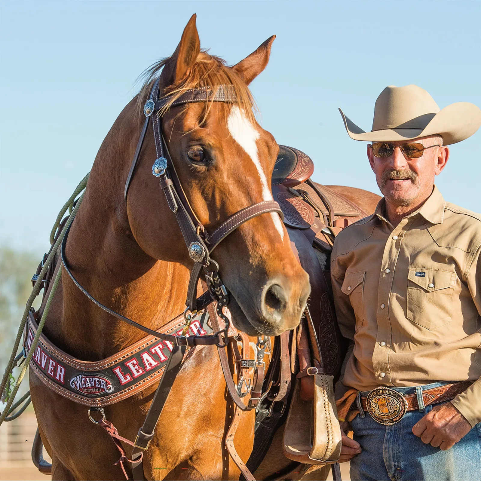 Basin Cowboy Noseband - Image 2