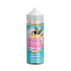 Blueberry Custard by Overloaded 120ML