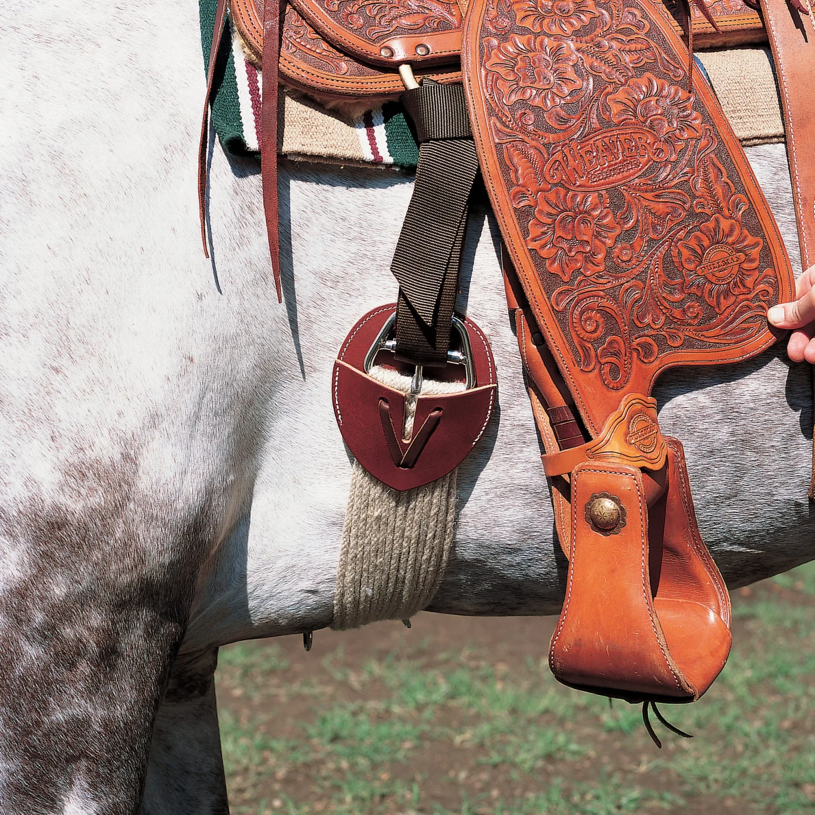 Cinch Guard - Image 2