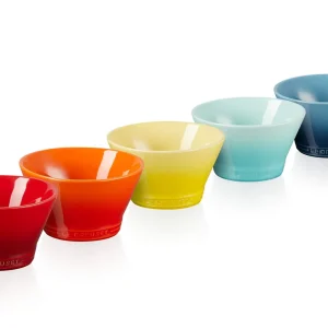 Le Creuset Rainbow 5-Piece Medium Bowl Set Official Japanese Product