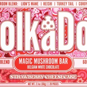 Polka Dot Mushroom Bar Strawberry Cheesecake